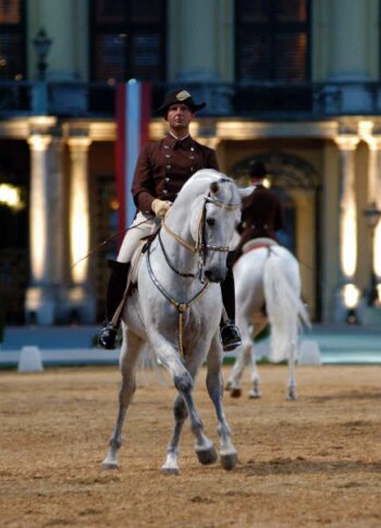 Un cavalier vêtu d'un uniforme marron et d'un chapeau fait du dressage sur un cheval blanc dans une arène extérieure éclairée, avec un autre cavalier et un autre cheval visibles à l'arrière-plan.