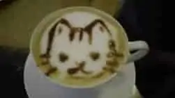 Bécs gyerekekkel Bécs gyerekekkel