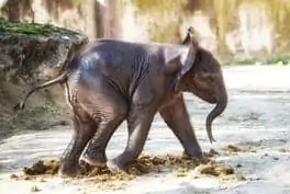 Bécs gyerekekkel Bécs gyerekekkel