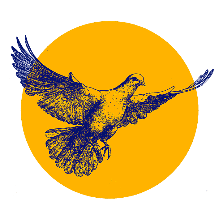 Ilustrace ptáka v letu s roztaženými křídly, nakreslená modrou barvou na jasně žlutém pozadí. Obrázek obsahuje několik tmavých abstraktních tvarů v rozích.