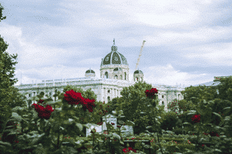 Dietro gli alberi e i fiori rossi di un giardino si erge un edificio storico bianco con il tetto a cupola, mentre una gru gialla è visibile sotto il cielo coperto.