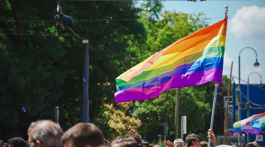 一面彩虹旗在户外活动的人群中飘扬,背景是树木和蓝天。